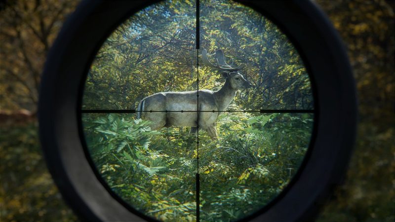 the Hunter: Call of the Wild - Ultimate Hunting Bundle PS5 Mídia Digital