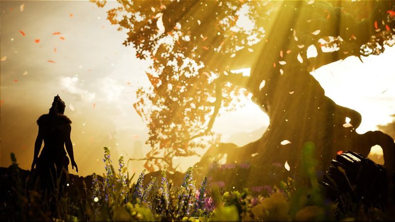 Hellblade: Senua’s Sacrifice PS5 Mídia Digital