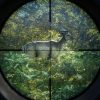 the Hunter: Call of the Wild - Ultimate Hunting Bundle PS4 Mídia Digital