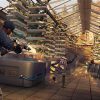 Watch Dogs 2 Deluxe Edition PS4 Mídia Digital