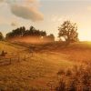 Red Dead Redemption 2 PS4 Mídia Digital