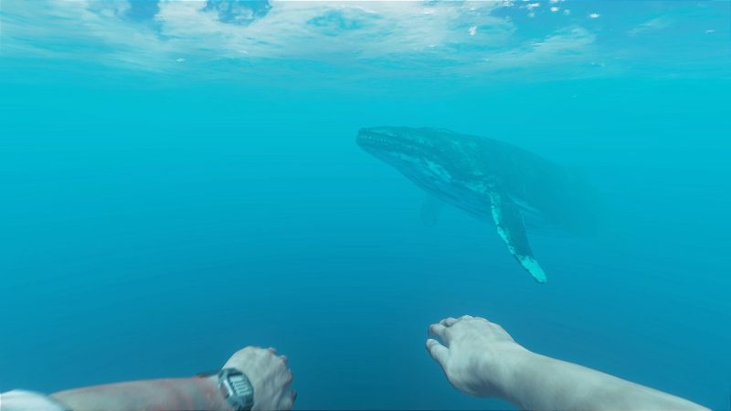 Stranded Deep PS4 Mídia Digital